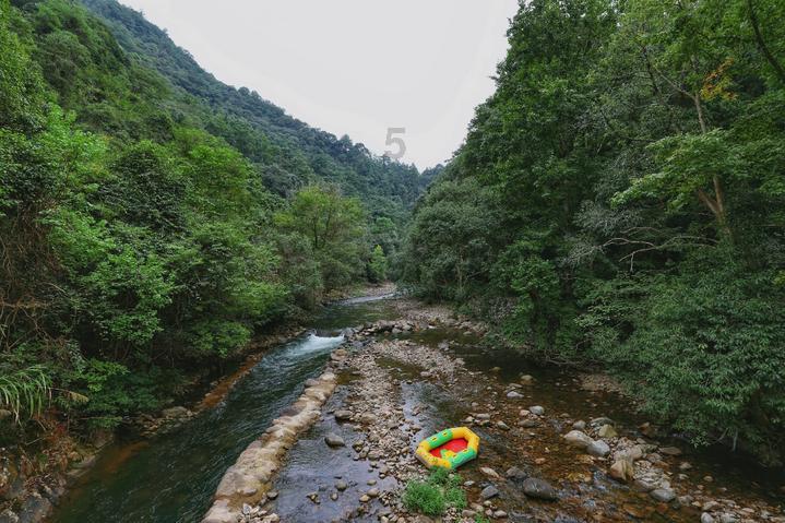 夏季时尚编发