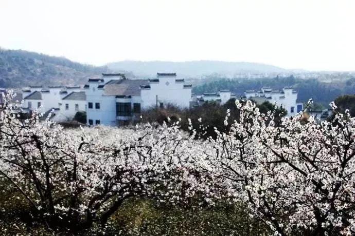 万词王