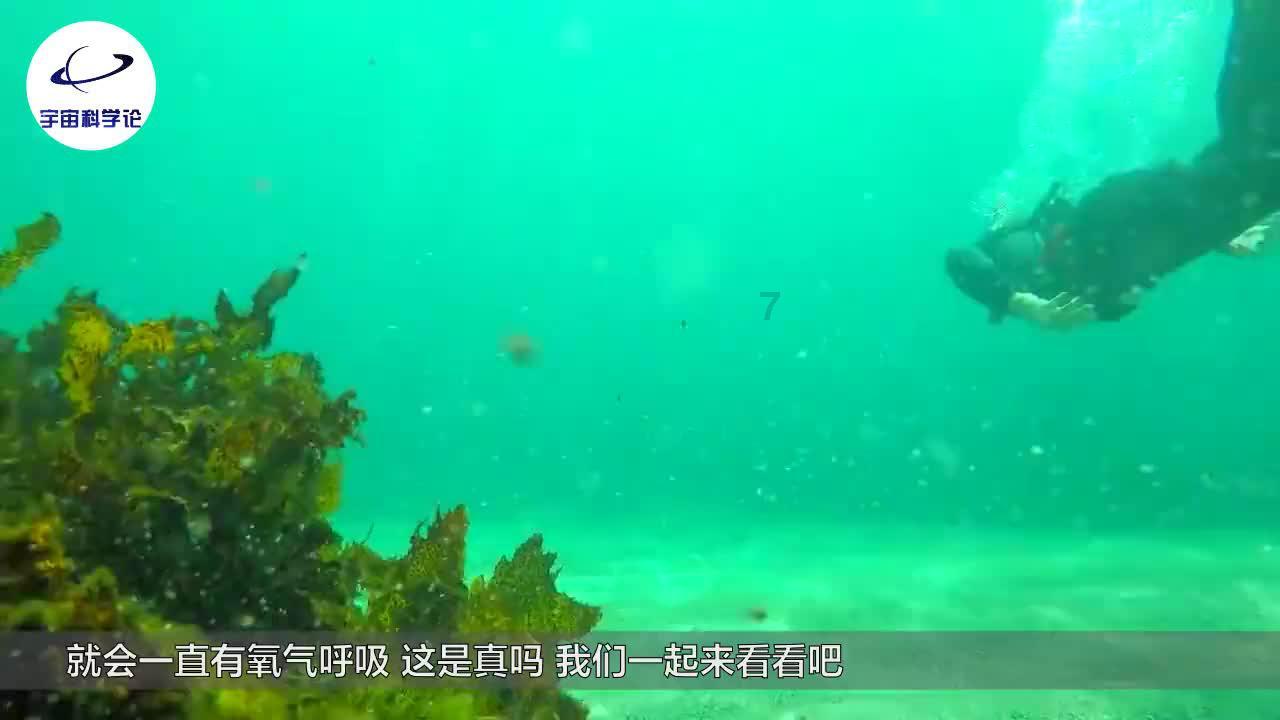 帝国：全面战争