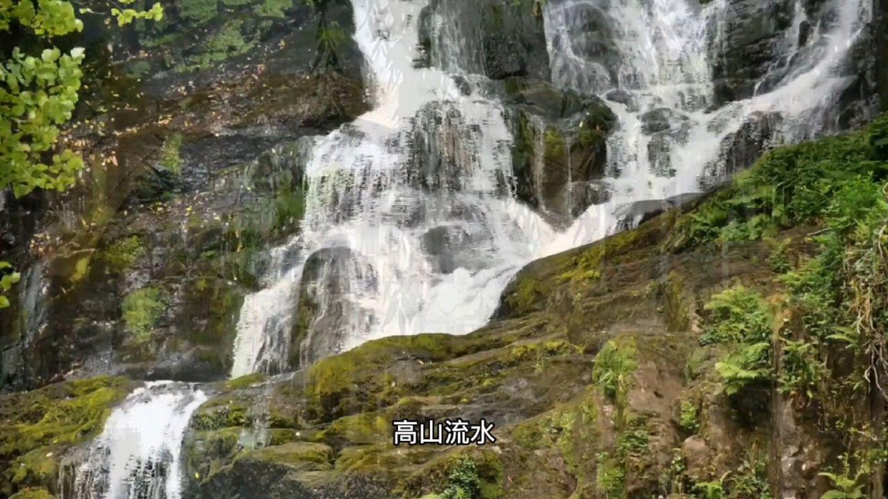 僵尸女友送月饼啦